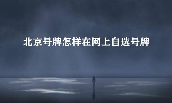 北京号牌怎样在网上自选号牌