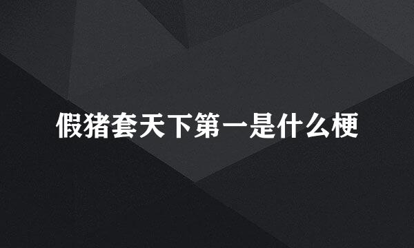 假猪套天下第一是什么梗