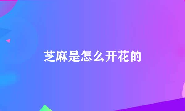 芝麻是怎么开花的