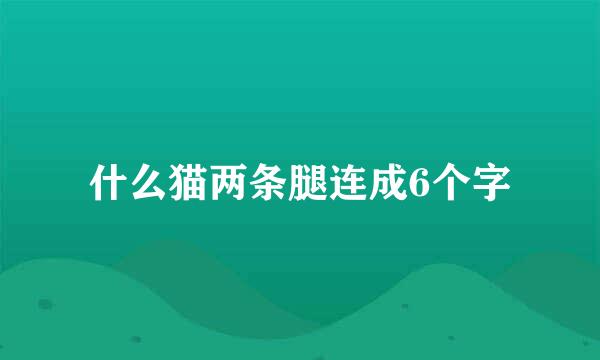 什么猫两条腿连成6个字