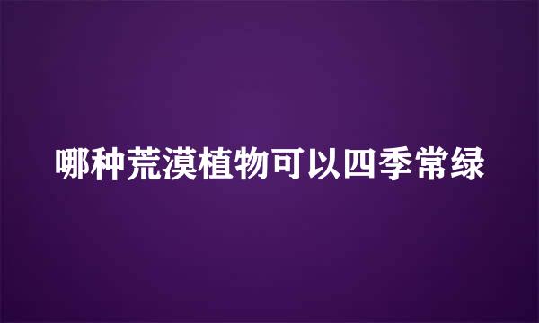 哪种荒漠植物可以四季常绿