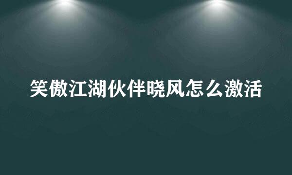笑傲江湖伙伴晓风怎么激活