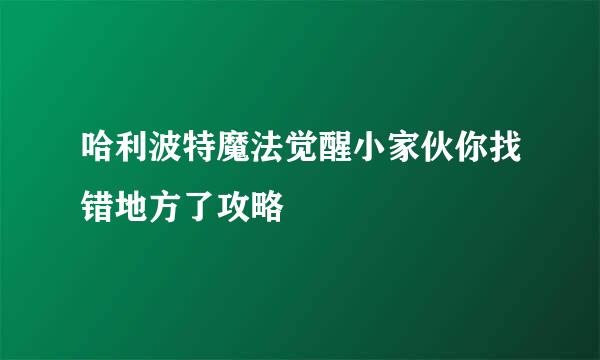 哈利波特魔法觉醒小家伙你找错地方了攻略