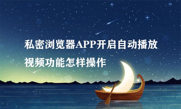 私密浏览器APP开启自动播放视频功能怎样操作