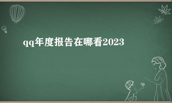 qq年度报告在哪看2023