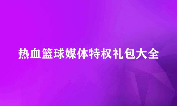 热血篮球媒体特权礼包大全