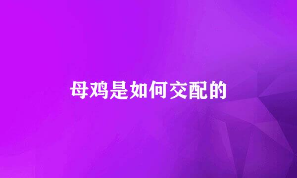 母鸡是如何交配的