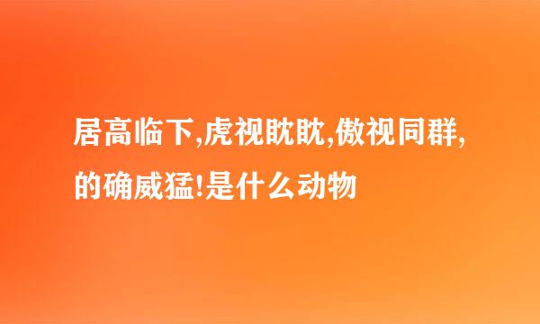 居高临下,虎视眈眈,傲视同群,的确威猛!是什么动物