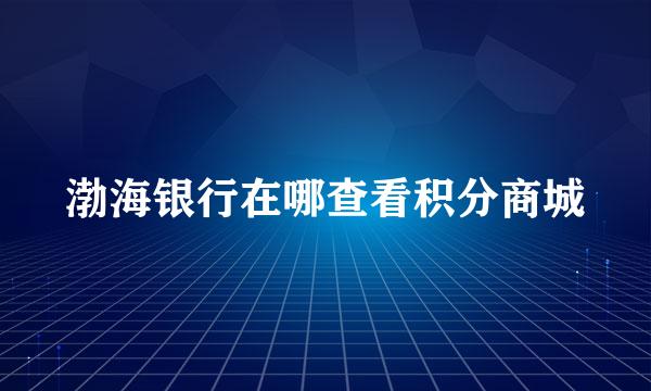 渤海银行在哪查看积分商城