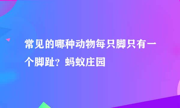常见的哪种动物每只脚只有一个脚趾？蚂蚁庄园