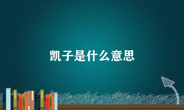 凯子是什么意思