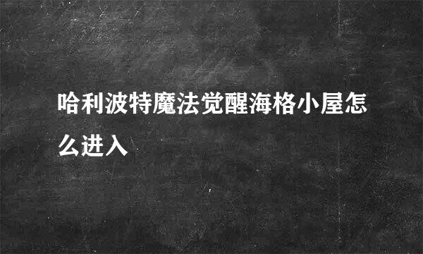 哈利波特魔法觉醒海格小屋怎么进入