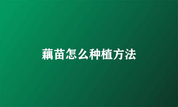 藕苗怎么种植方法