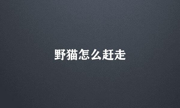 野猫怎么赶走