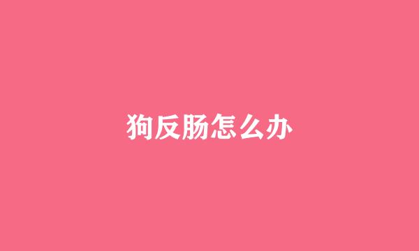 狗反肠怎么办