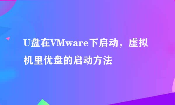 U盘在VMware下启动，虚拟机里优盘的启动方法