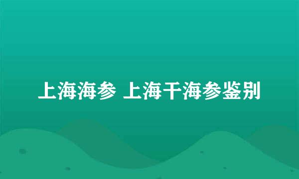 上海海参 上海干海参鉴别