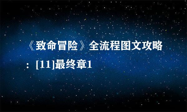 《致命冒险》全流程图文攻略：[11]最终章1