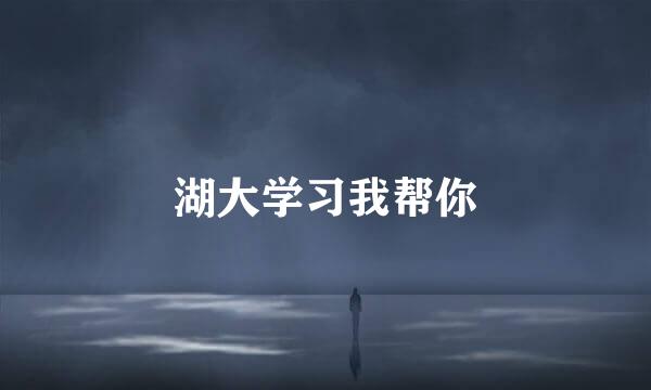湖大学习我帮你