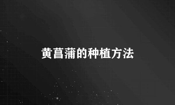 黄菖蒲的种植方法