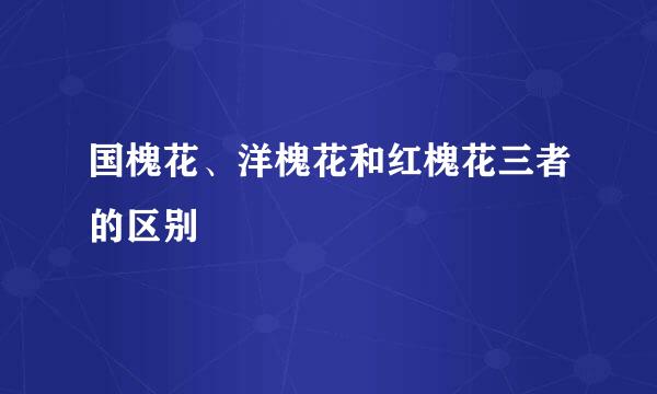 国槐花、洋槐花和红槐花三者的区别