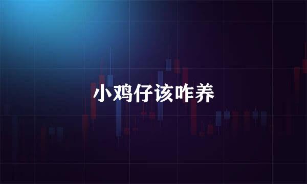 小鸡仔该咋养