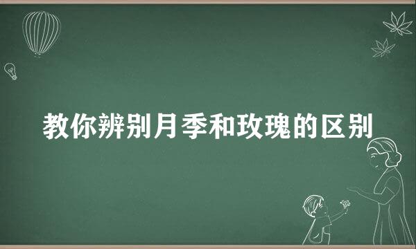 教你辨别月季和玫瑰的区别
