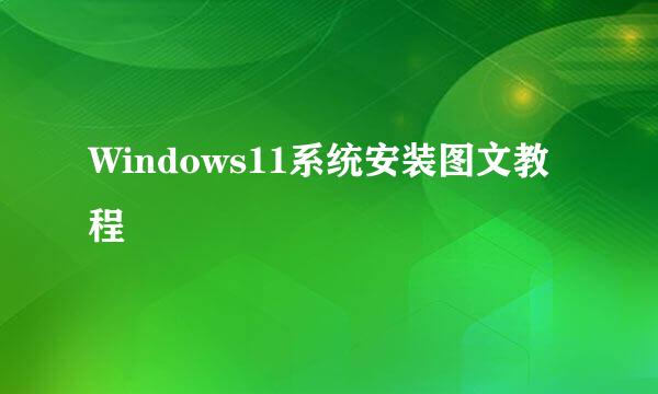 Windows11系统安装图文教程