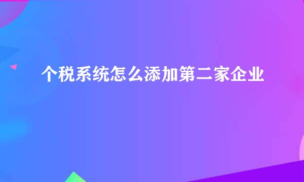 个税系统怎么添加第二家企业