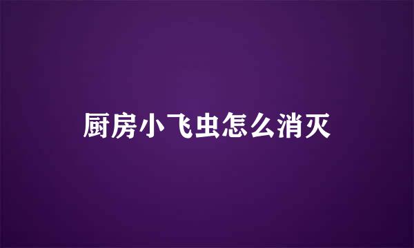 厨房小飞虫怎么消灭