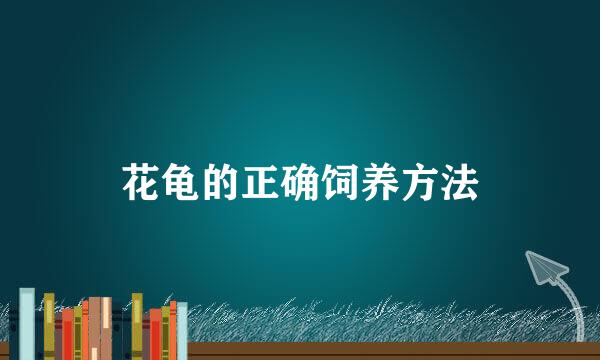 花龟的正确饲养方法