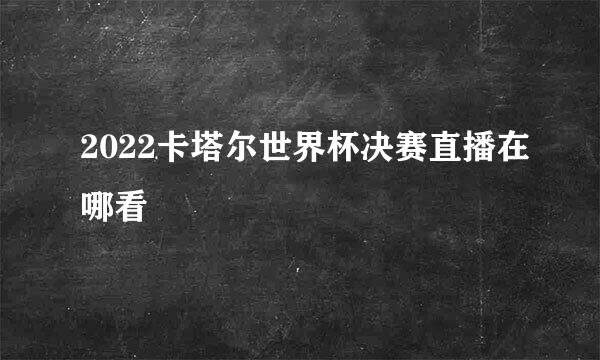 2022卡塔尔世界杯决赛直播在哪看