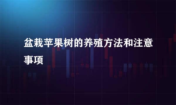 盆栽苹果树的养殖方法和注意事项