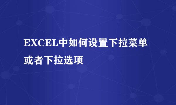 EXCEL中如何设置下拉菜单或者下拉选项