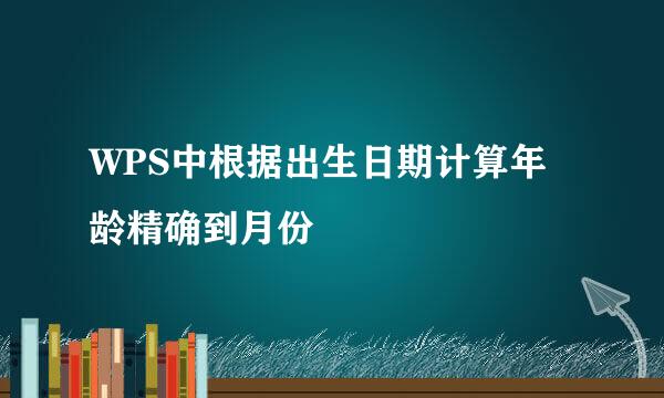 WPS中根据出生日期计算年龄精确到月份