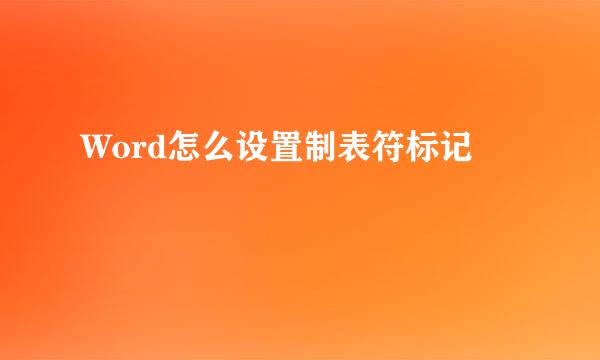 Word怎么设置制表符标记