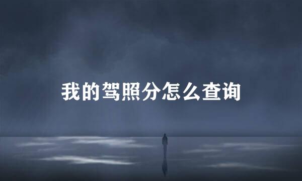 我的驾照分怎么查询