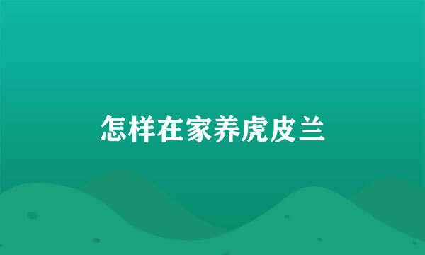 怎样在家养虎皮兰