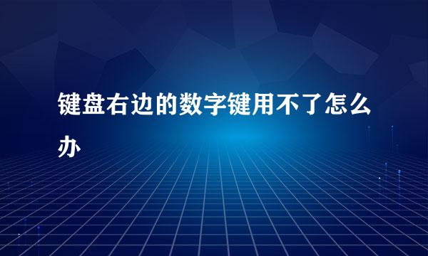 键盘右边的数字键用不了怎么办