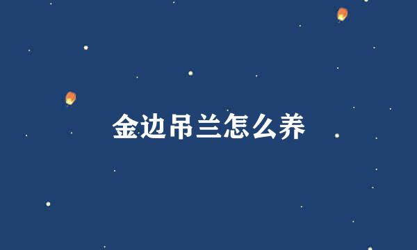 金边吊兰怎么养