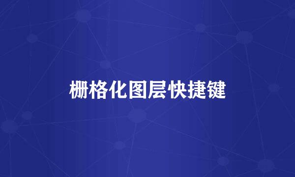 栅格化图层快捷键