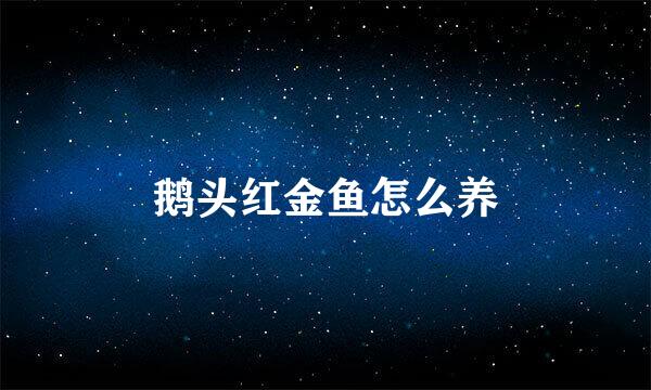 鹅头红金鱼怎么养