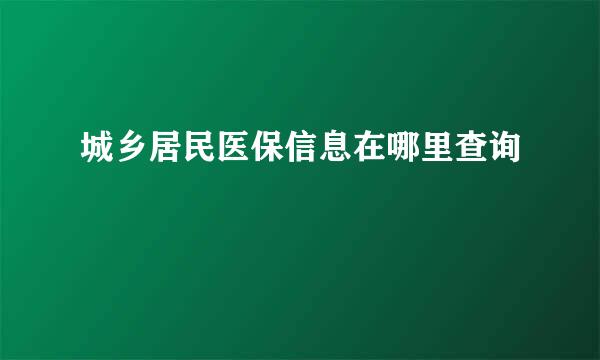 城乡居民医保信息在哪里查询