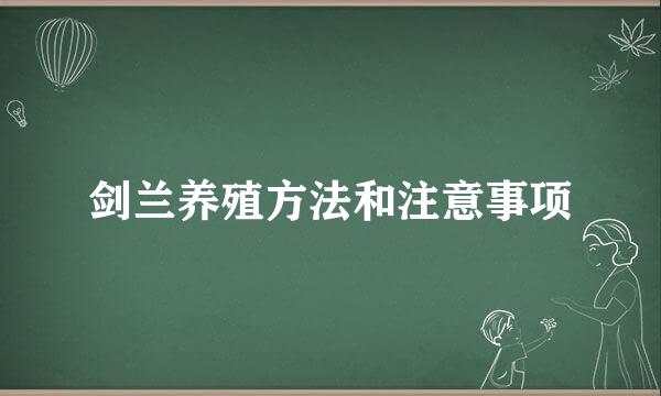 剑兰养殖方法和注意事项