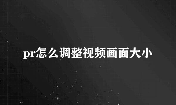 pr怎么调整视频画面大小