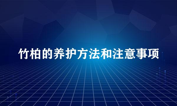 竹柏的养护方法和注意事项