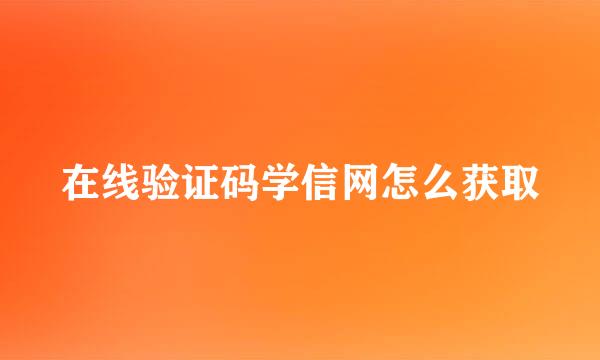 在线验证码学信网怎么获取