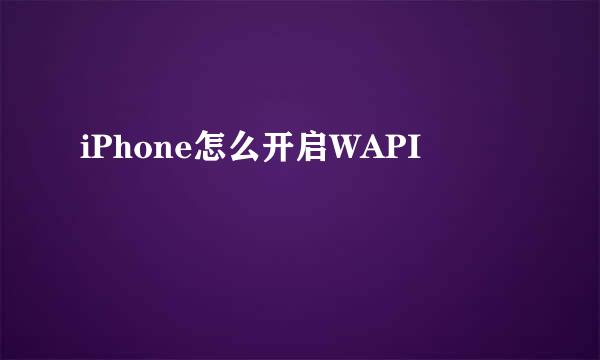 iPhone怎么开启WAPI
