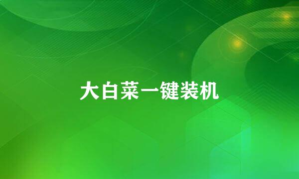 大白菜一键装机