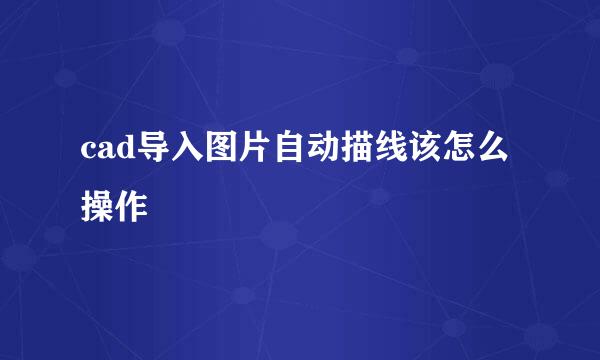 cad导入图片自动描线该怎么操作